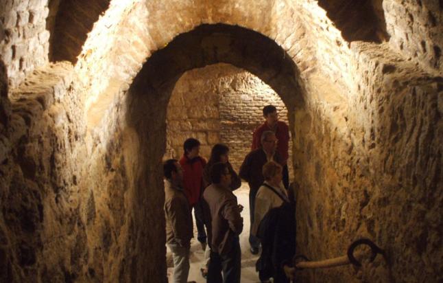 Toro_Bodegas