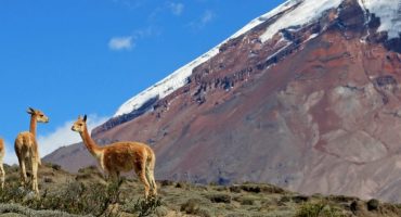 Un viaje por la «Avenida de los Volcanes», en Ecuador