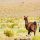 Qué ver y hacer en Bolivia