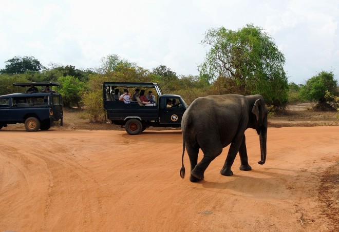 Parque Nacional de Yala
