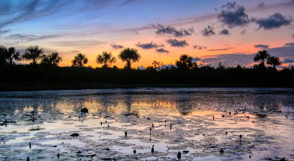 Entorno natural de Kourou, Guyana