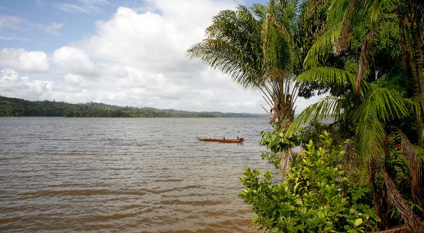 Entorno natural de Maroni, Guyana