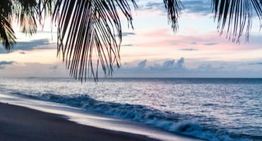 10 lugares que visitar en la Guayana Francesa