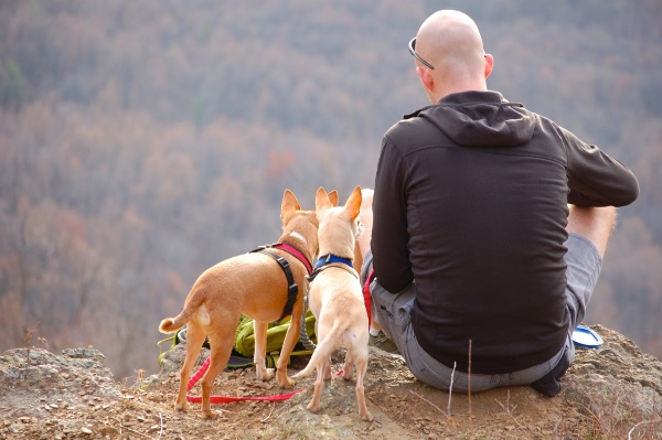 Monte-con-perros