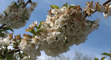 5 lugares para pasar una Primavera Rural