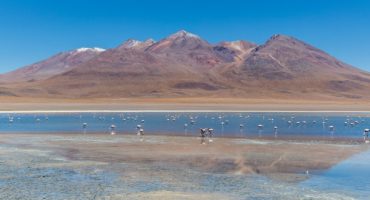 6 Estrategias para disfrutar del Parque Nacional Eduardo Avaroa