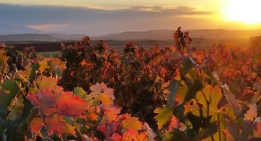 La Rioja, la región española más parecida a la Comarca del Señor de los Anillos