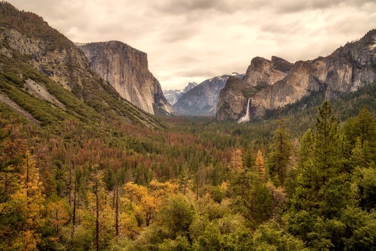 Parque-Yosemite-Montañas-árboles-California