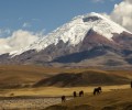 Portada_Cotopaxi 120x100