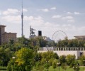 Moscu_noria 120x100