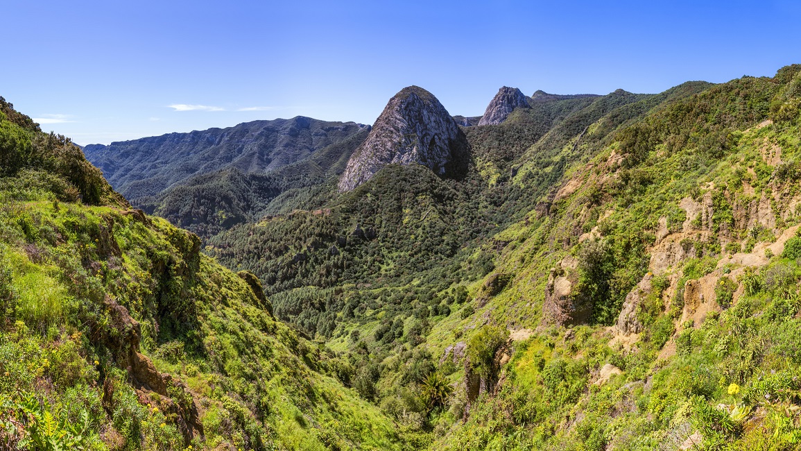 Parque Nacional de Garajonay, en La Gomera (Islas Canarias)