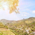 iStock 1188283525 1 e1662794662906 150x150