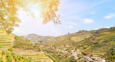 El Valle del Duero: naturaleza, gastronomía y tradición