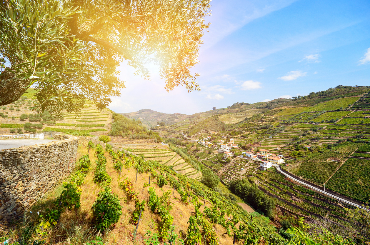 Régua, en el valle del Duero portugués