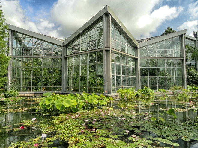 Jardín Botánico de Frankfurt