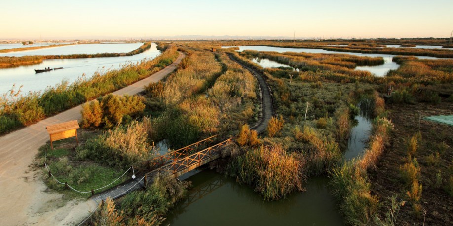 Tancat de la Pipa, en la Albufera de Valencia