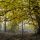Bosque de la Herrería, en Madrid