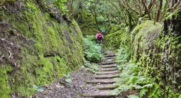 Los 10 paisajes naturales más espectaculares de Tenerife