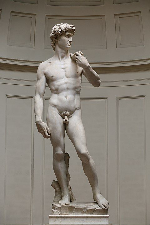 El David de Miguel Ángel