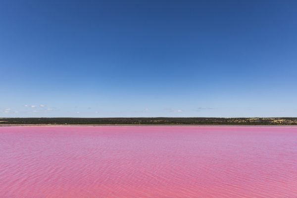 Lago Rosa (Australia)