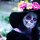 La Catrina