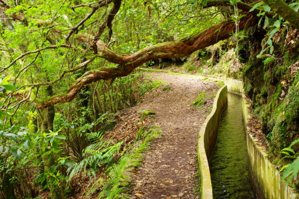Las Levadas en Madeira
