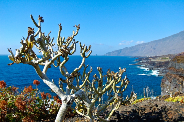 Isla de El Hierro (Islas Canarias)