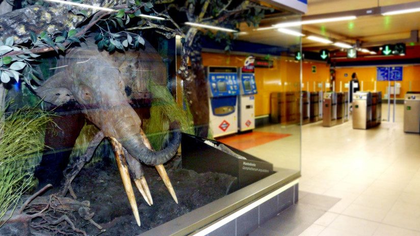 Metro de Madrid