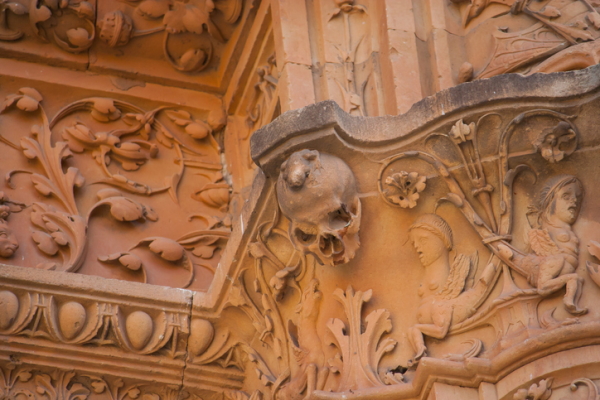 Rana de la Universidad de SalamancaRana de la Universidad de Salamanca