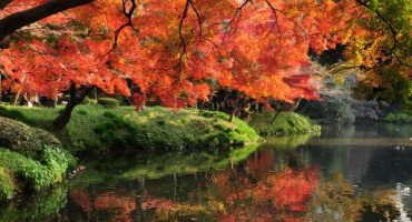 Un alto en el camino: los jardines más bonitos del mundo