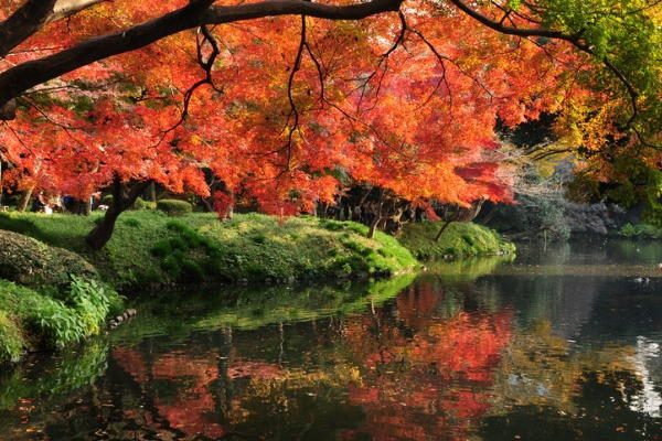 Jardines Hoishikawa Korakuen, en Tokio