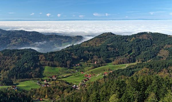 Selva Negra (Alemania)