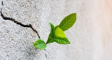 Verde esperanza: 8 lugares para cuando todo haya pasado