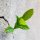 Brote verde