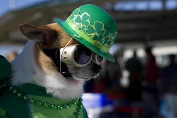 Día de San Patricio en Dublín