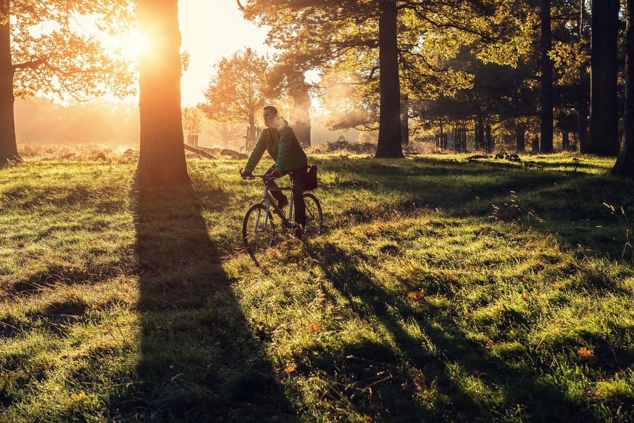 Ciclista en Richmond Park