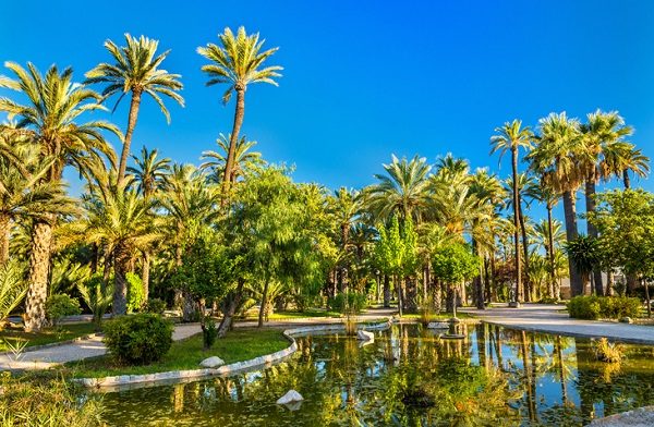 Palmeral de Elche