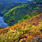 ribeira sacra galicia 150x150