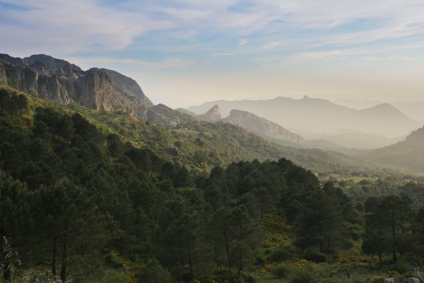 Sierra de Grazalema (Málaga)