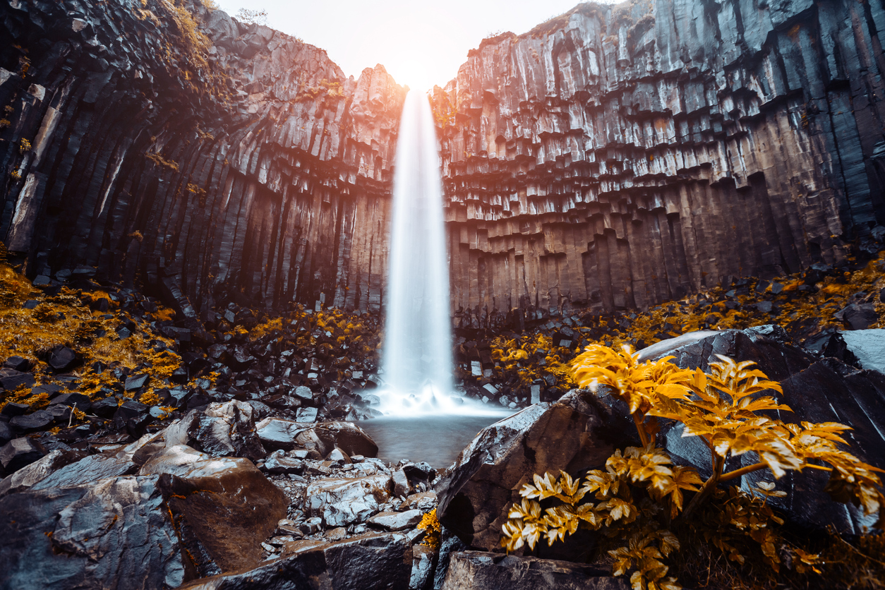 Svartifos (Islandia)