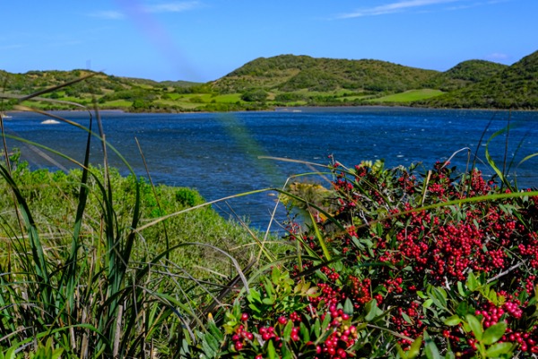 Albufera de Menorca