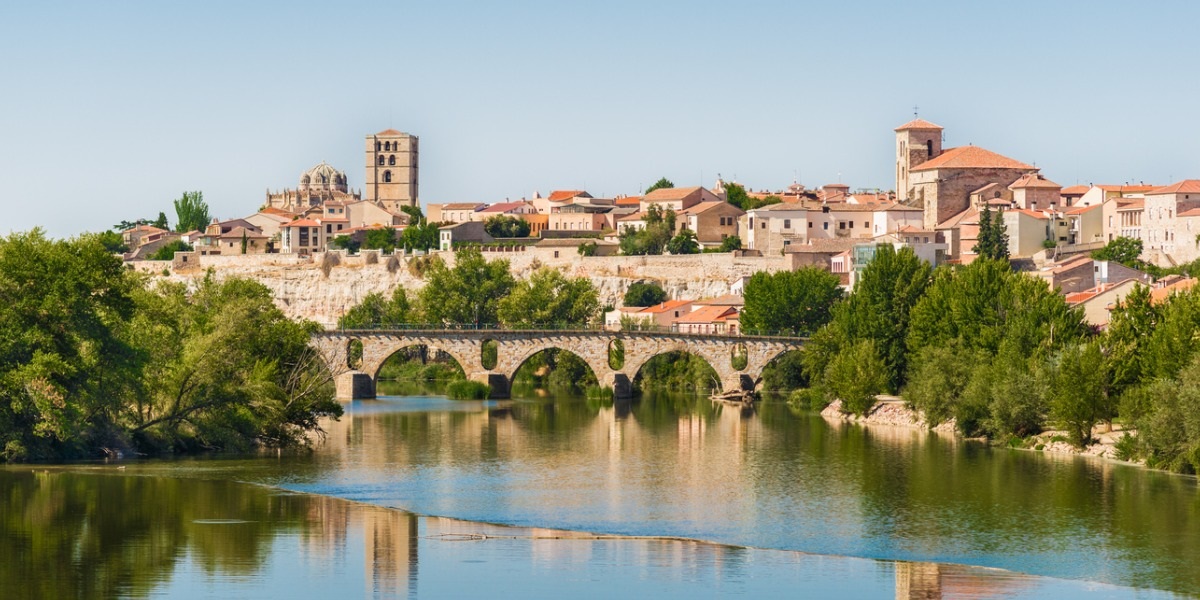 Zamora