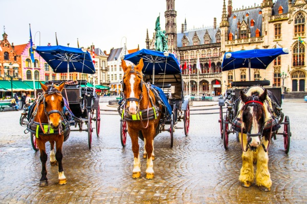 Plaza Burg (Brujas)