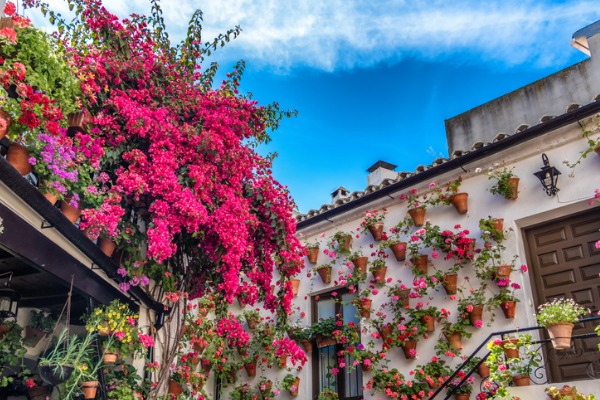 Los 7 patios más bonitos de Córdoba