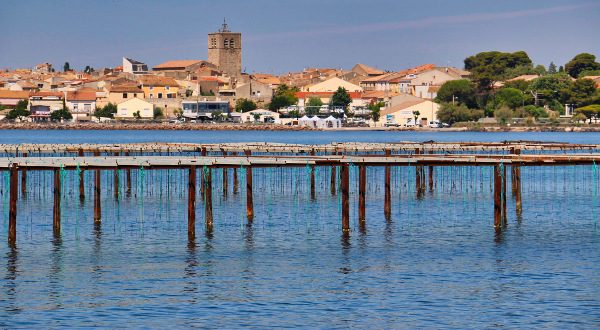 Laguna Thau, en Sète