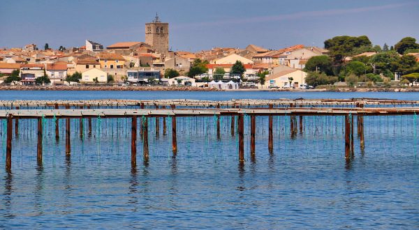 Laguna Thau, en Sète