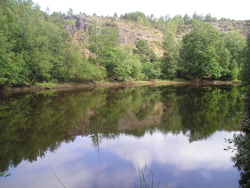 Bosque de Brocelianda