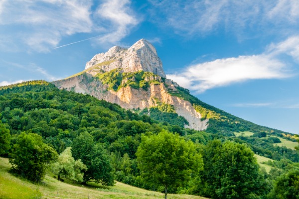 Bosque de Chartreuse (Francia)
