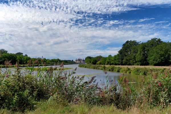 Bosque de Chambord (Francia)