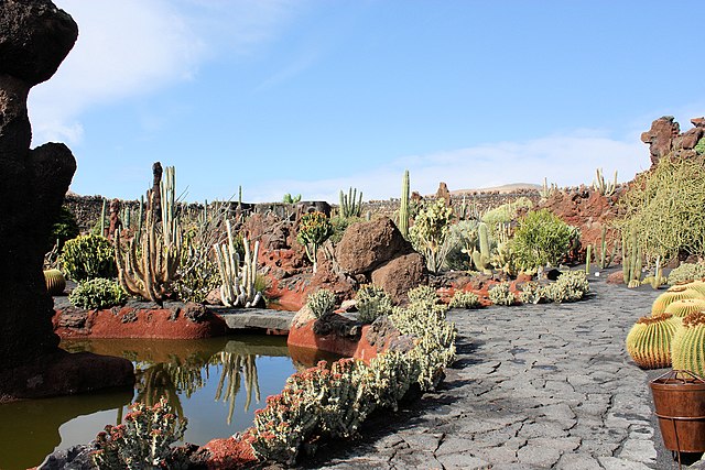 Jardín de Cactus de Lanzarote